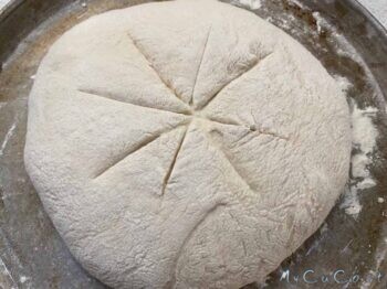 Ho coperto la ciotola con un canovaccio e ho fatto lievitare per 45 minuti lontano da correnti d'aria. Va bene anche in forno spento e non preriscaldato.