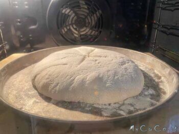 Ho coperto la ciotola con un canovaccio e ho fatto lievitare per 45 minuti lontano da correnti d'aria. Va bene anche in forno spento e non preriscaldato.
