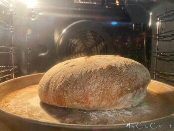 Pane per principianti - MyCuCo.it