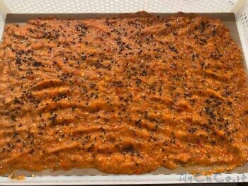 Sfoglie croccanti alle verdure - MyCuCo.it