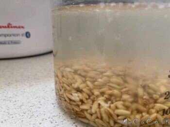 Latte di avena con Companion Moulinex - myCuCo.it