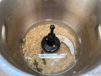 Latte di avena con Companion Moulinex - myCuCo.it