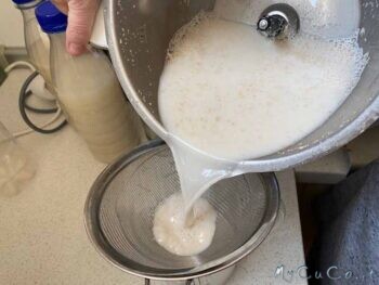 Latte di avena con Companion Moulinex - myCuCo.it