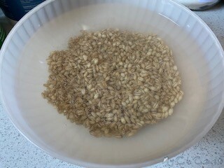 Orzata original, no sciroppo